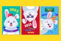 2023 bunny happy new year card banner set vector