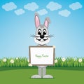 Bunny hold sign on spring lawn happy easter