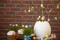 bunny hunt begin. egg hunt. traditional painted eggs composition. decoration design. hunting eggs in springtime. spring eastertime