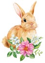 Bunny on isolated white background, bunny and Jasmin, rose flowers, leaves. Easter rabbit. Watercolor Cute animal