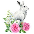 Bunny on isolated white background, bunny and Jasmin, rose flowers, leaves. Easter rabbit. Watercolor Cute animal