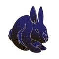 Bunny outline illustration. Stylized rabbit vector line animal, night sky color silhouette isolated on white background Royalty Free Stock Photo