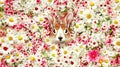 Bunny peeking from daisy field, spring floral background, Easter card Royalty Free Stock Photo