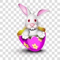 Bunny in a pink egg shell with transparency