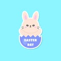 Bunny Popping Out of Blue Easter Egg Royalty Free Stock Photo