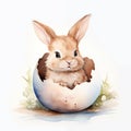 Bunny Popping Out From Cracked Egg With Green Grass Royalty Free Stock Photo
