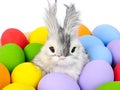 a bunny rabbit and assortments of painted easter eggs Royalty Free Stock Photo