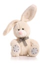 Bunny rabbit cuddly toy Royalty Free Stock Photo