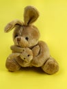 Bunny rabbit cuddly toy Royalty Free Stock Photo