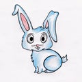 Bunny Rabbit Drawing