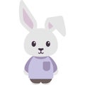 Bunny Rabbit Dressed Vector Illustration