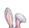 Bunny rabbit ears. Easter concept. Watercolor illustration