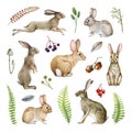 Bunny, rabbit natural forest elements set. Watercolor illustration. Hand drawn bunnies and rabbits in different poses