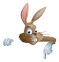 Bunny Rabbit Pointing Down Royalty Free Stock Photo