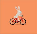 Bunny rabbit riding bike