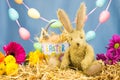 Bunny rabbit with tin Easter bucket in colourful scene.