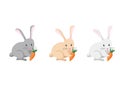 Bunny rabbits with carrots.