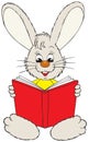 Bunny reading the red book Royalty Free Stock Photo