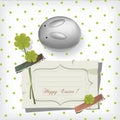 Bunny and shamrocks Royalty Free Stock Photo
