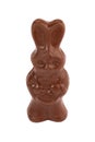 Bunny shape chocolate