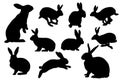 Bunny silhouette vector set Royalty Free Stock Photo