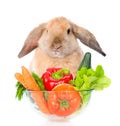 Bunny sitting with a bowl of vegetables. isolated on white Royalty Free Stock Photo