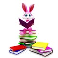 Bunny is sitting on the pile of books