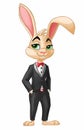 Bunny in a smoking suit and a bow tie Royalty Free Stock Photo