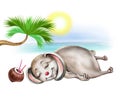 Bunny sunbathes on the beach