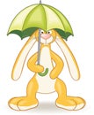 Bunny with umbrella Royalty Free Stock Photo