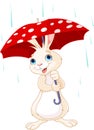 Bunny under umbrella Royalty Free Stock Photo