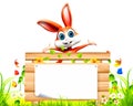 Bunny with woodenSign Royalty Free Stock Photo