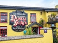 Durty Nelly`s Pub Entrance Royalty Free Stock Photo