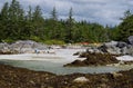 Kayakers unload boats and set up camp on shell beach in sun, Bunsby Islands