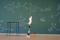 Bunsen burner in a lab Royalty Free Stock Photo
