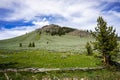 Bunsen Peak trail landscape, Yellowstone National Park, Wyoming