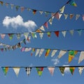 Buntings Royalty Free Stock Photo