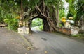 Bunut Bolong: Ficus Tree Tunnel At West Off-Beaten Track