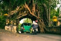 Bunut Bolong: Ficus Tree Tunnel At West Off-Beaten Track Royalty Free Stock Photo