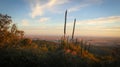 Bunya Mountains Landscape at Sunset Royalty Free Stock Photo