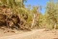 In the Bunyeroo Gorge - Wilpena Pound Royalty Free Stock Photo