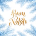 Buon Natale Italian Merry Christmas holiday golden hand drawn calligraphy text for greeting card of Christmas fir garland frame de