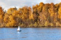 Buoy and autumn forest over river