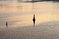 Buoy marking the navigable depth. Floating beacon, buoy on the water. Navigation. River Dnipro Dniepr, Kyiv, Ukraine