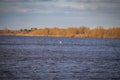 Buoy on a navigable river, warning of danger to ships Royalty Free Stock Photo