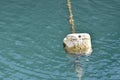 Buoy of plastic barrel floating on water