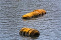 Buoy or plastic floats on the water surface. Royalty Free Stock Photo