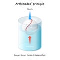 Buoyancy and Archimedes` principle. ball floating