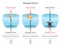 Buoyant Force Infographic diagram examples of cork wood iron