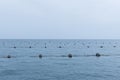 Buoys Mussels Farm Sea Food Royalty Free Stock Photo